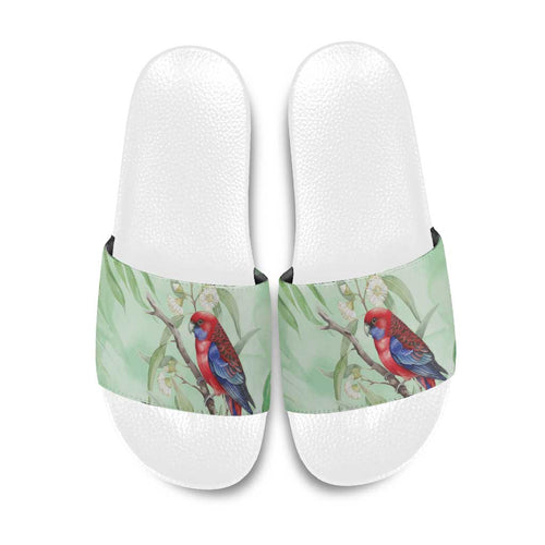 Australia Crimson Rosella Slide Sandals Platycercus Elegans Eucalyptus Alba Watercolor - Aussie Hoodie
