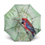 Australia Crimson Rosella Umbrella Platycercus Elegans Eucalyptus Alba Watercolor - Aussie Hoodie