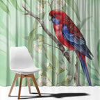 Australia Crimson Rosella Window Curtain Platycercus Elegans Eucalyptus Alba Watercolor - Aussie Hoodie