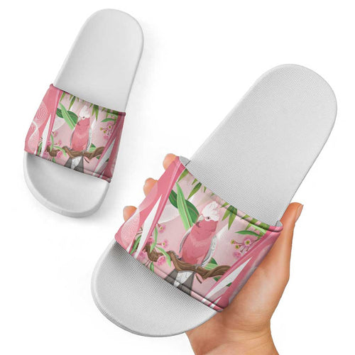 Galah Cockatoo Australia Slide Sandals Aussie Native Eucalyptus Caesia Flowers