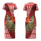 New Zealand Kakapo Christmas In July Couples Matching Short Sleeve Bodycon Dress and Hawaiian Shirt Silver Fern Santa Xmas Red Color LT22