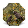 New Zealand Kaka Bird Umbrella Kowhai Flower Landscape Style