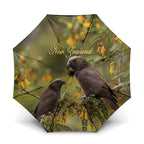 New Zealand Kaka Bird Umbrella Kowhai Flower Landscape Style