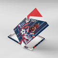 Personalised Sydney Roosters City Of Rugby Canvas Wall Art Sydney City Skyline Illustration Dynamic Sport Fan