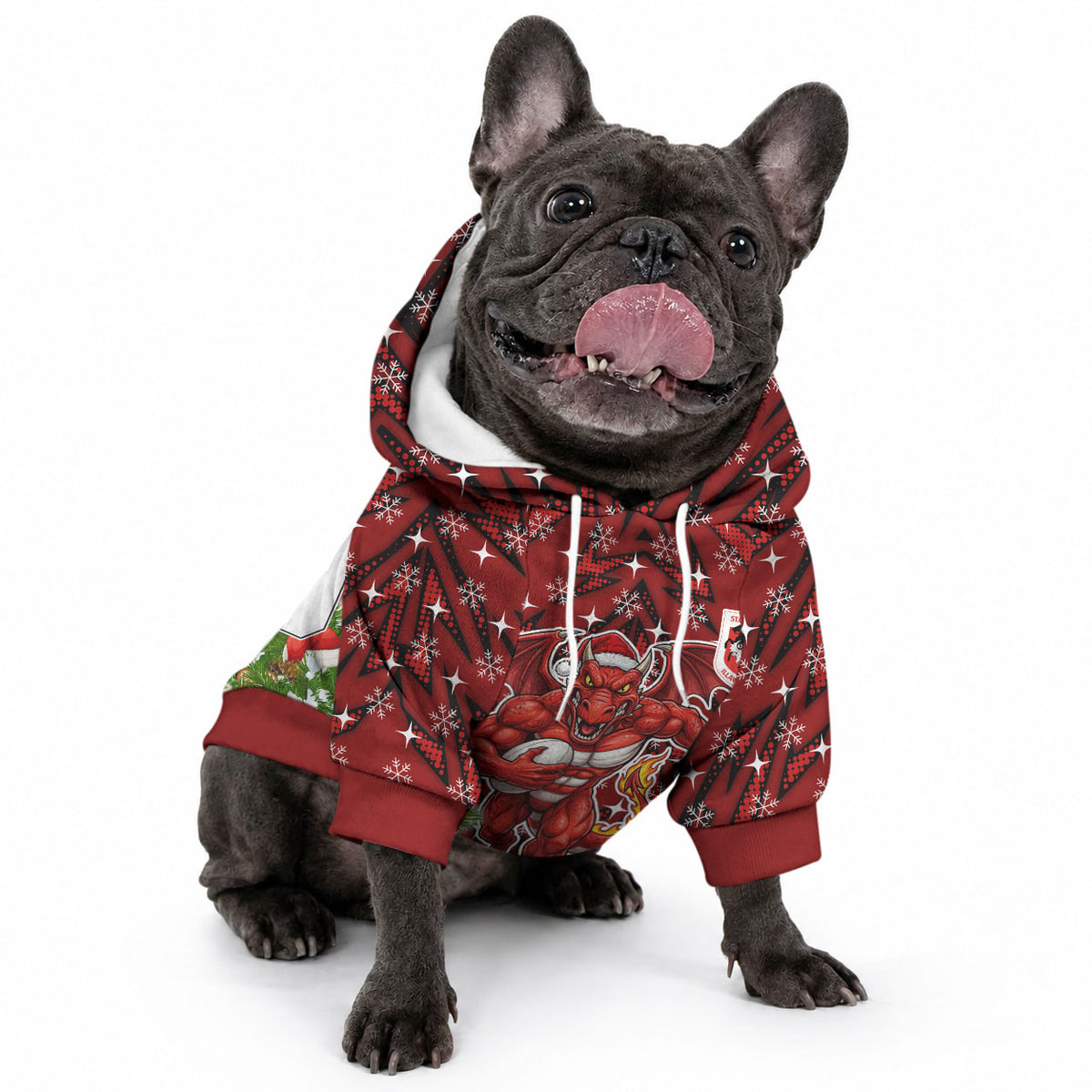 Personalised Dragons Rugby Christmas Pet Hoodie Santa Rugby Mascot - Pine Wreath Festive