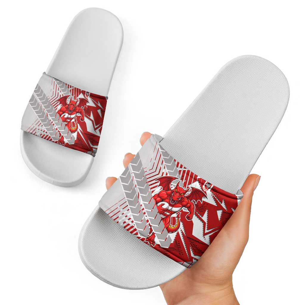 St George Illawarra Dragons Rugby Slide Sandals Fierce Mascot Geometric Tribal Art