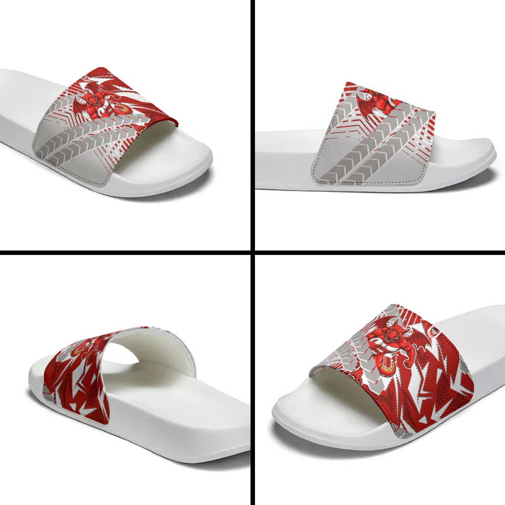 St George Illawarra Dragons Rugby Slide Sandals Fierce Mascot Geometric Tribal Art