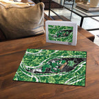 Melbourne Stars Puzzle Flaming Lightning Storm Geometric Sports Mascot Art