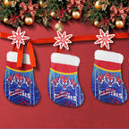 vibe-hoodie-stocking-custom-delhi-capitals-premier-cricket-team-christmas-stocking