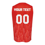 st-george-illawarra-dragons-mens-oneck-tank-top-logo-sport-ombre-nrl