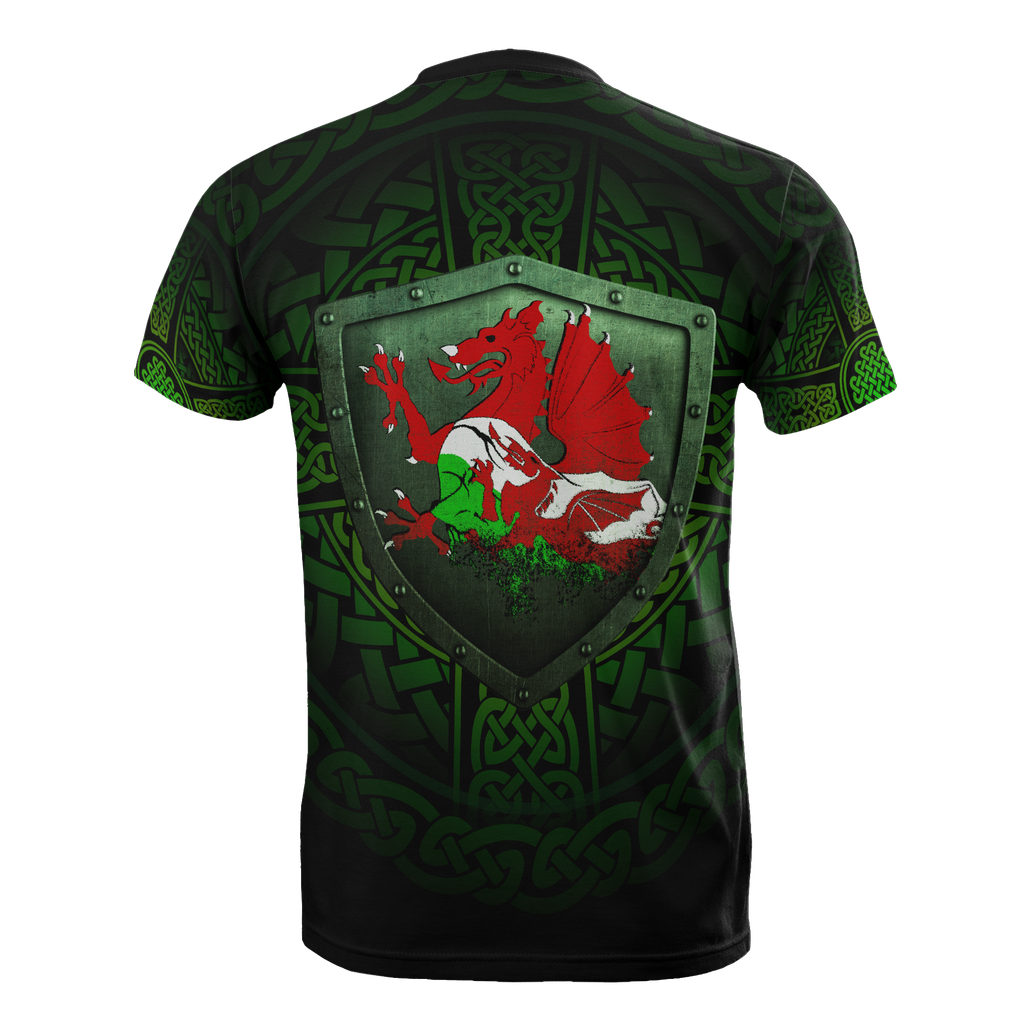 wales-raglan-t-shirt-cymru-dragon-with