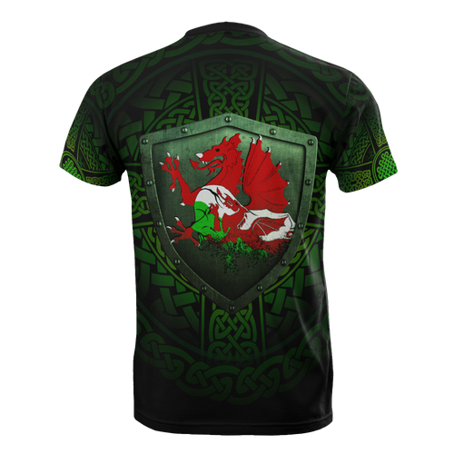 wales-raglan-t-shirt-cymru-dragon-with