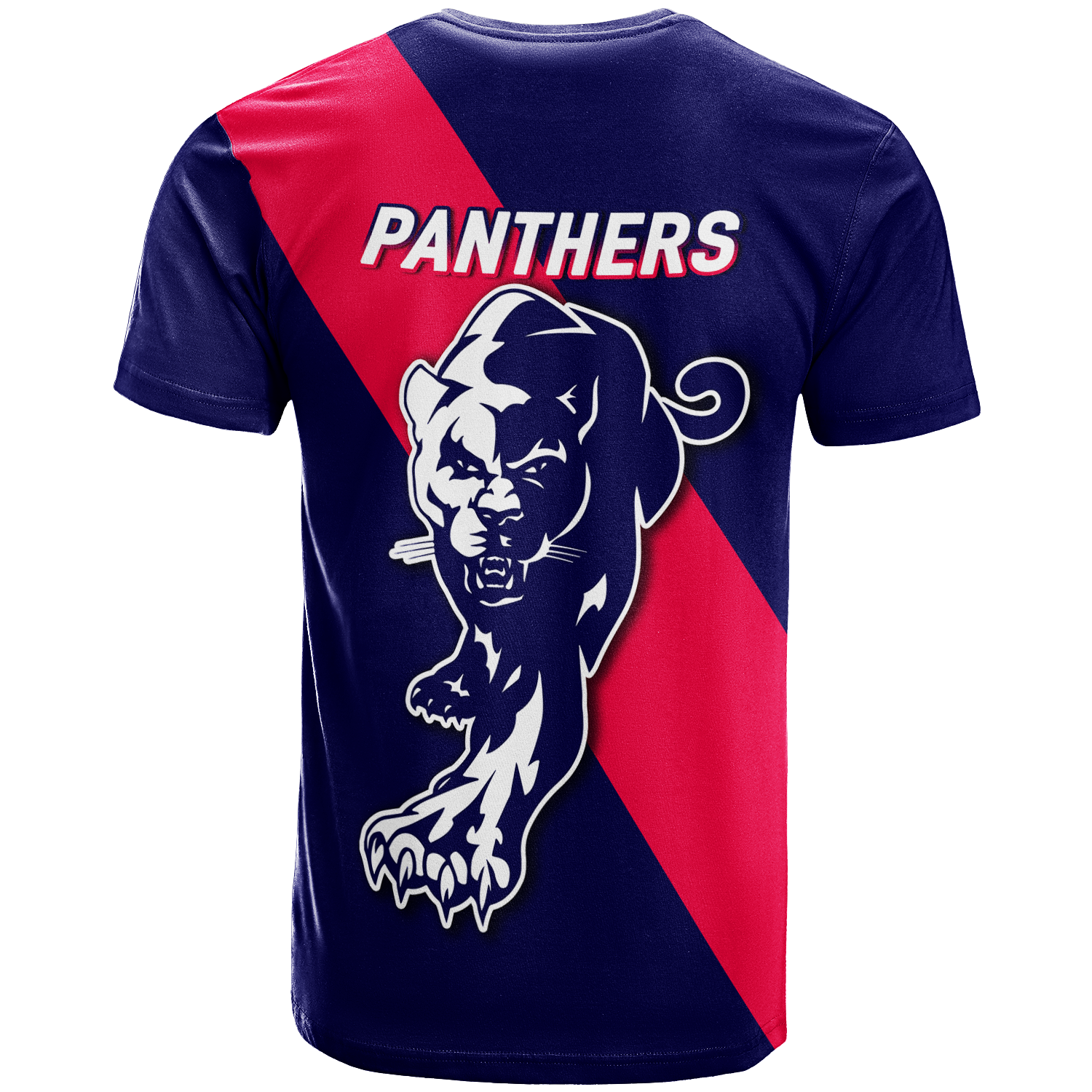 Panthers Carey Park Football 2022 T-Shirt - LT12