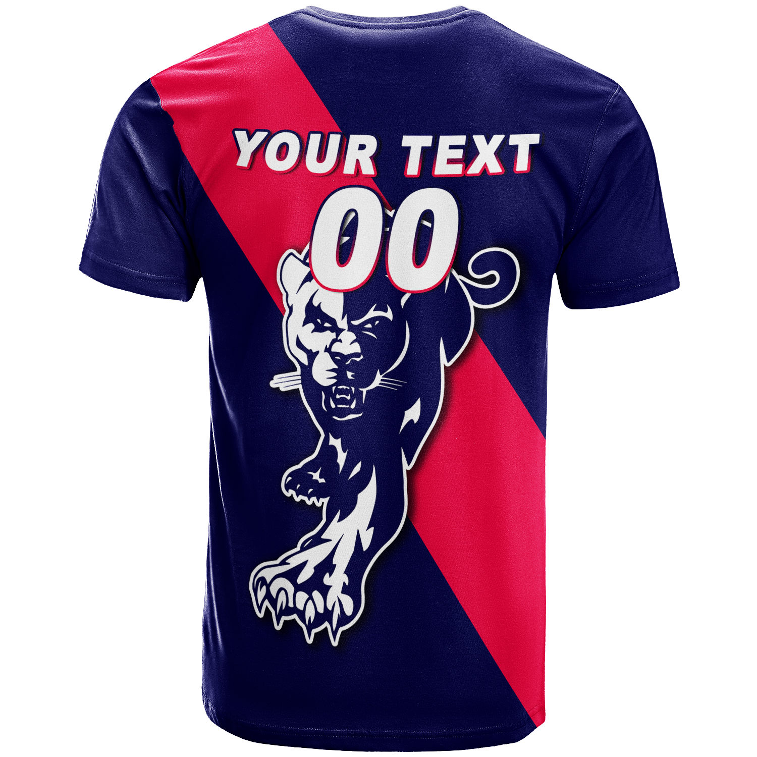 (Custom Personalised) Panthers Carey Park Football 2022 T-Shirt - LT12