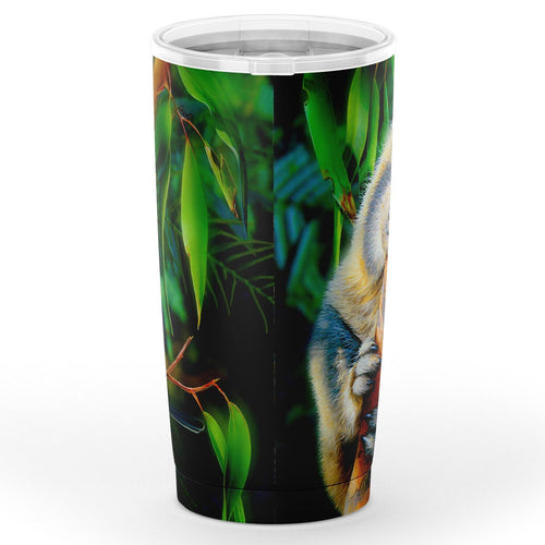insulated-tumbler-3d-koala-tumbler-koala-aussie-greeting