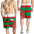 rabbitohs-nippy-men-shorts-indigenous