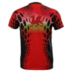 wales-t-shirt-hive-style