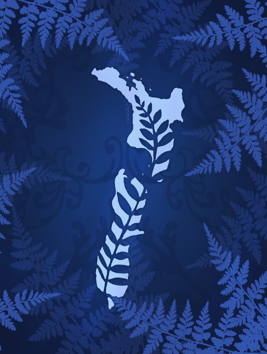 new-zealand-map-puzzle
