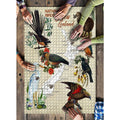 new-zealand-native-birds-poster-puzzle