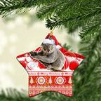 australia-christmas-ornaments-koala-aboriginal-painting-merry-christmas