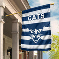 cats-energetic-flag-indigenous