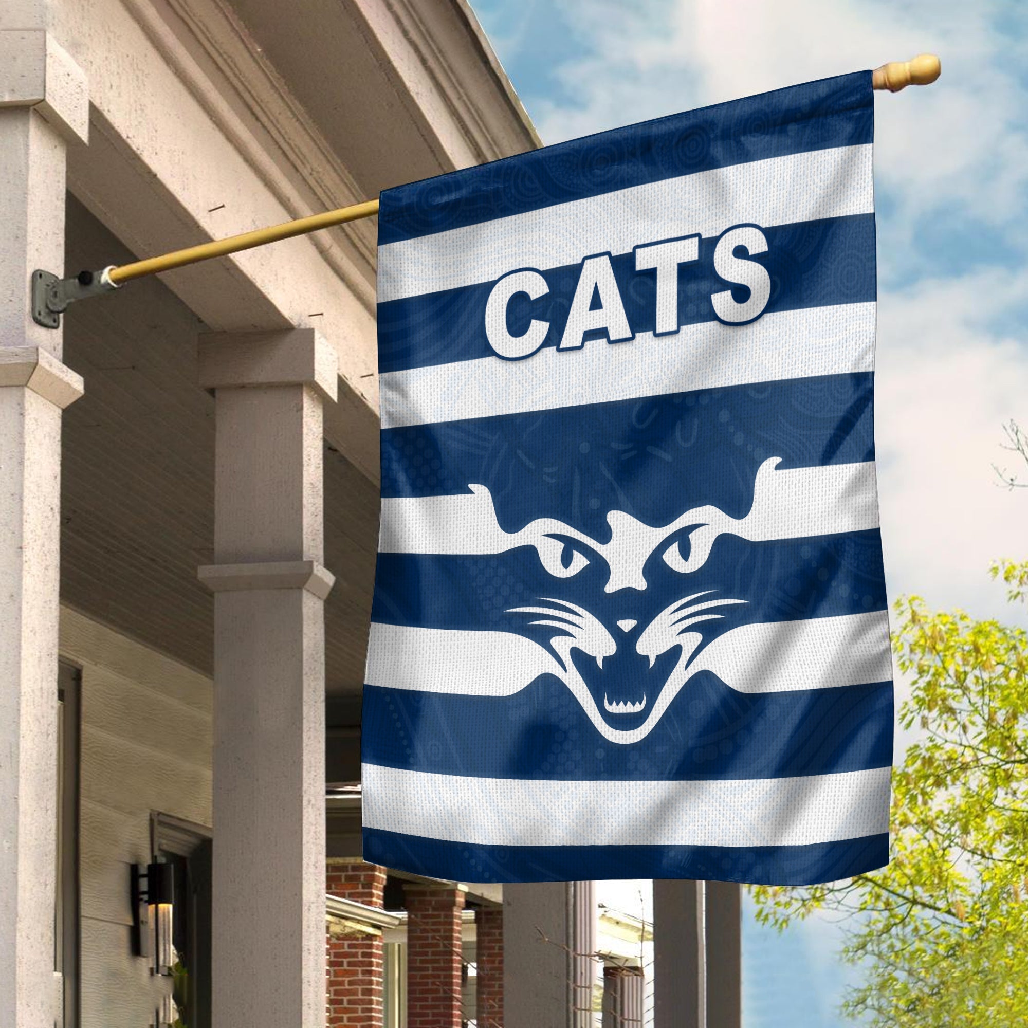 cats-energetic-flag-indigenous