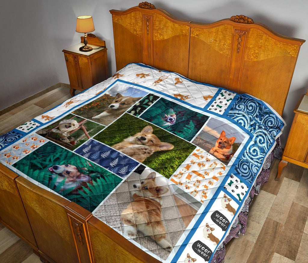 corgi-dog-with-fern-quilt