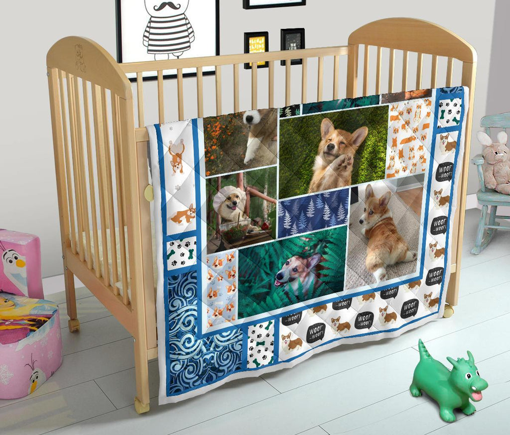 corgi-dog-with-fern-quilt