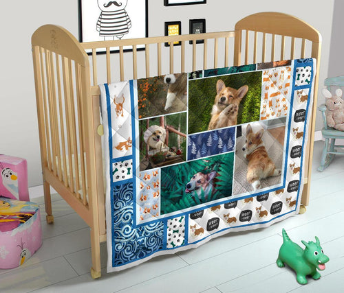 corgi-dog-with-fern-quilt