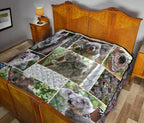 premium-quilts-koala-coverlets-so-cute