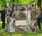 premium-quilts-koala-coverlets-so-cute