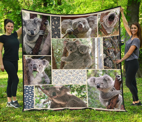 premium-quilts-koala-coverlets-so-cute