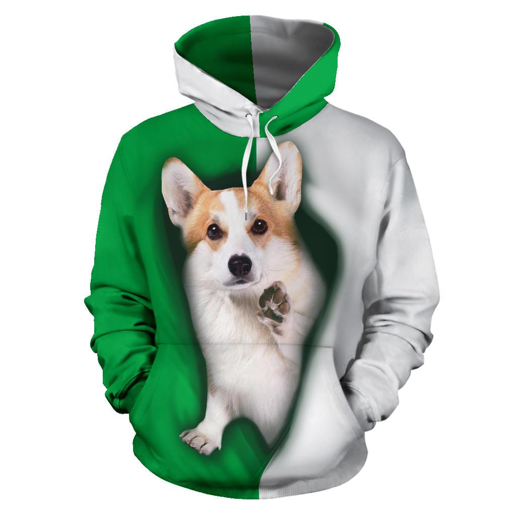 cute-wales-corgi