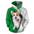 cute-wales-corgi