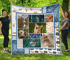 corgi-dog-with-fern-quilt