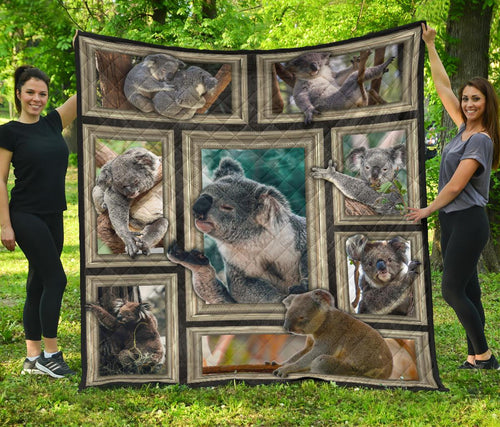 premium-quilt-3d-koala-frames-quilt
