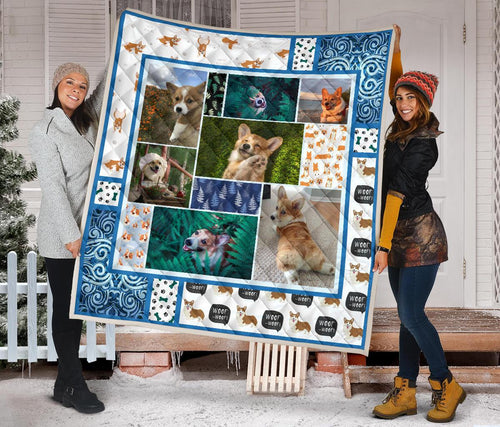 corgi-dog-with-fern-quilt