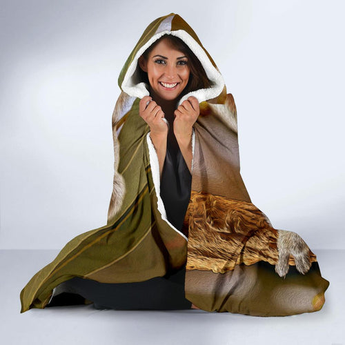 hooded-blanket-australian-koala-blanket-3d-koala