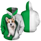 cute-wales-corgi