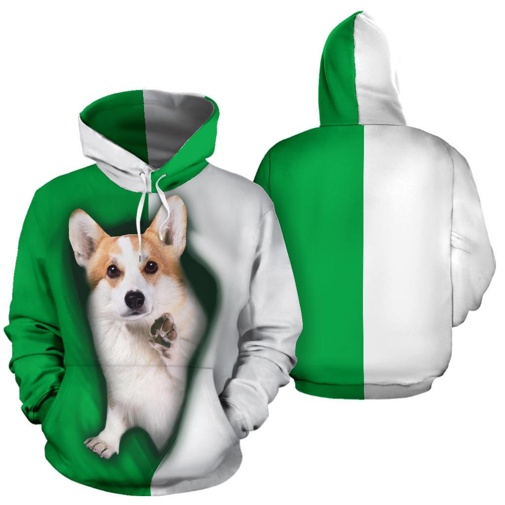 cute-wales-corgi