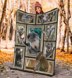 premium-blanket-3d-koala-frames-blanket