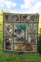 premium-quilt-3d-koala-frames-quilt