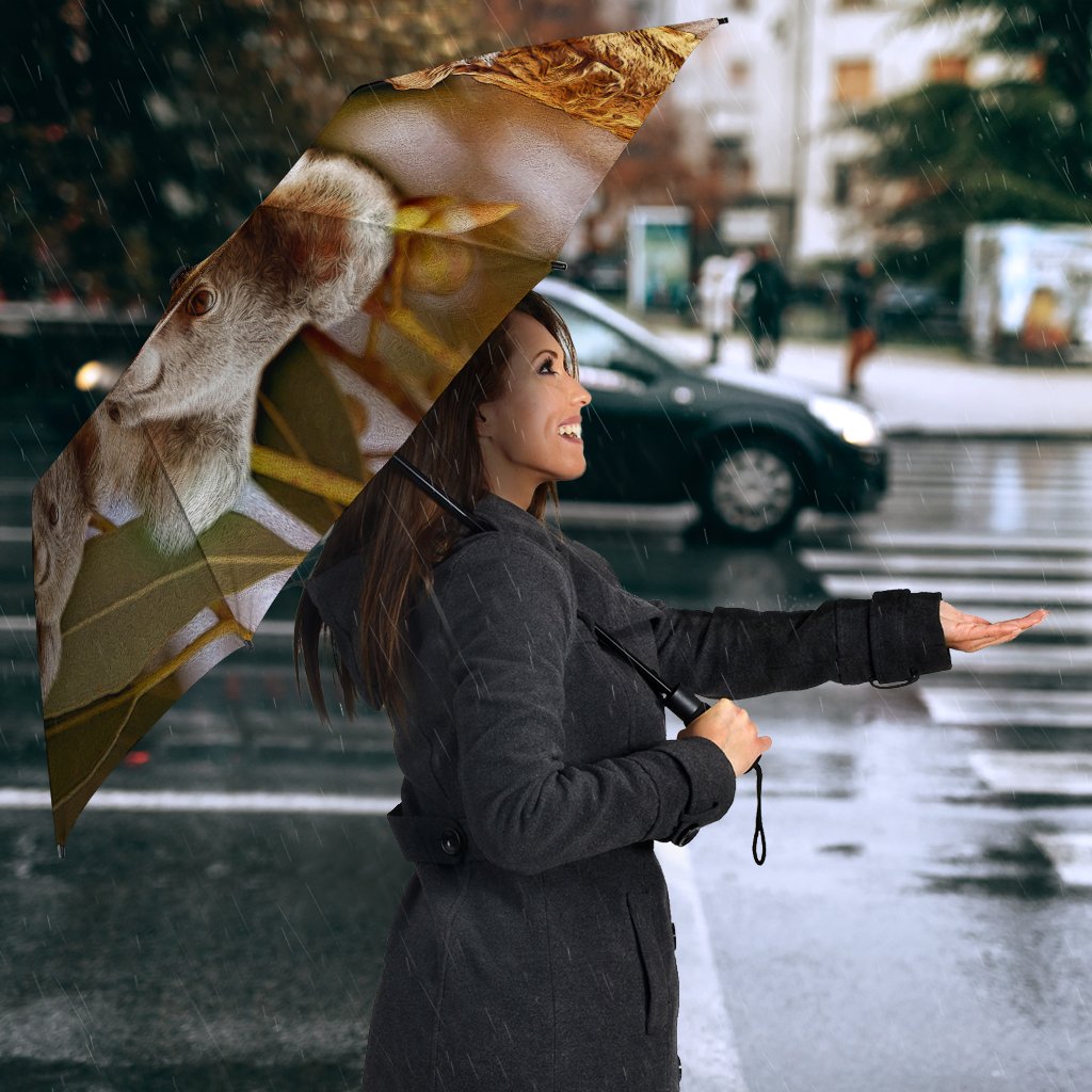 umbrella-australian-koala-umbrella-3d-koala