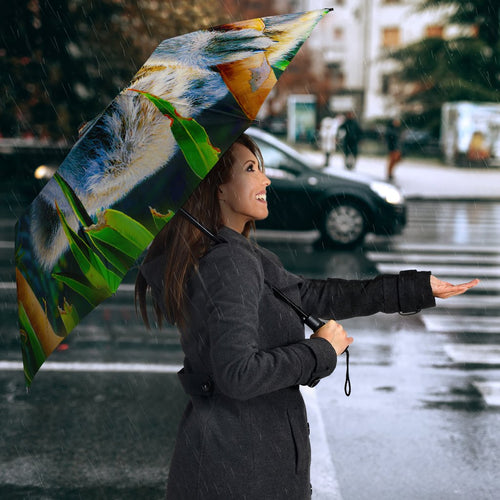 umbrella-3d-koala-umbrella-koala-aussie-greeting