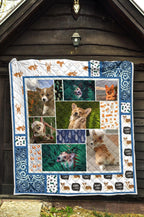 corgi-dog-with-fern-quilt