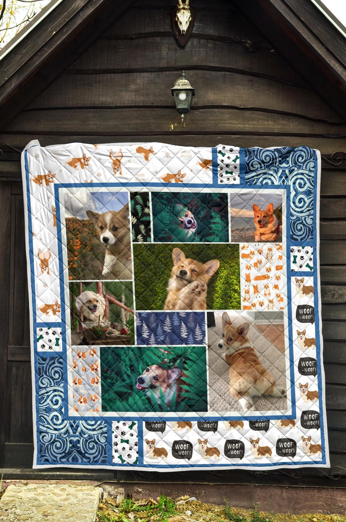 corgi-dog-with-fern-quilt