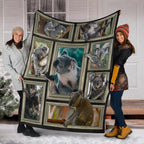 premium-blanket-3d-koala-frames-blanket