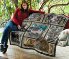 premium-quilt-3d-koala-frames-quilt