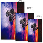area-rug-australia-sky-view-the-forest-is-growing