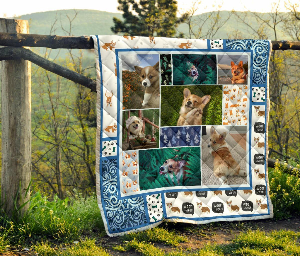 corgi-dog-with-fern-quilt